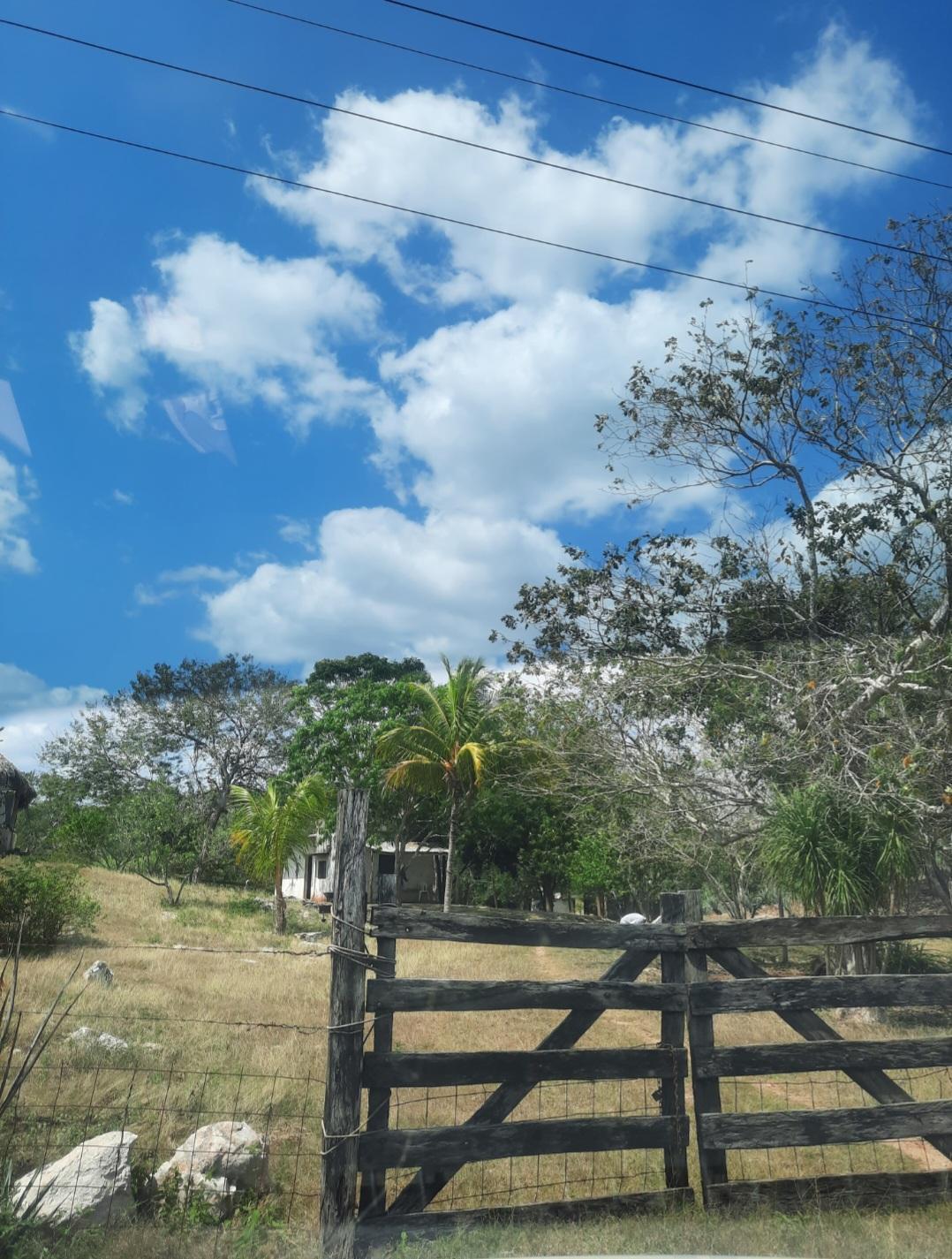 Yucatán, Temozón