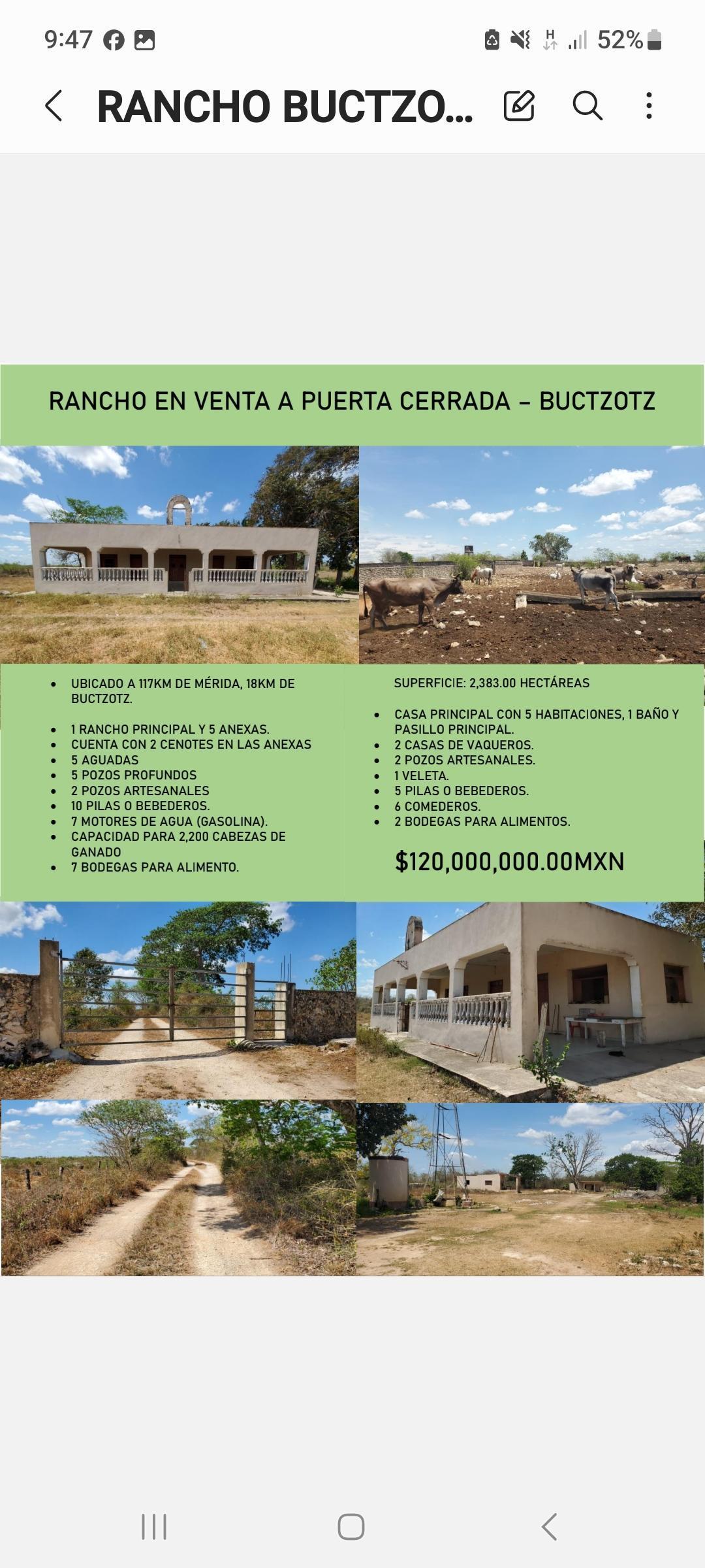 Se vende Rancho en Buctzotz