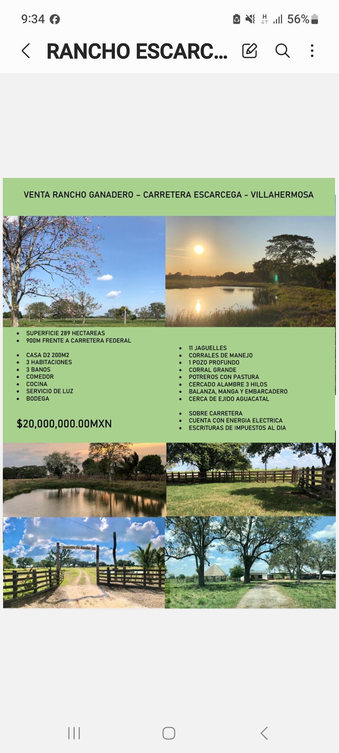 Se vende Rancho en Carmen