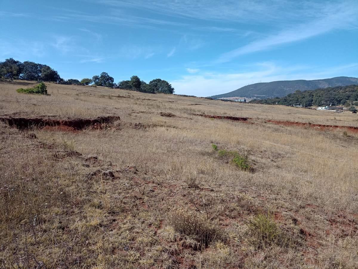 Edo. de México, Jilotepec