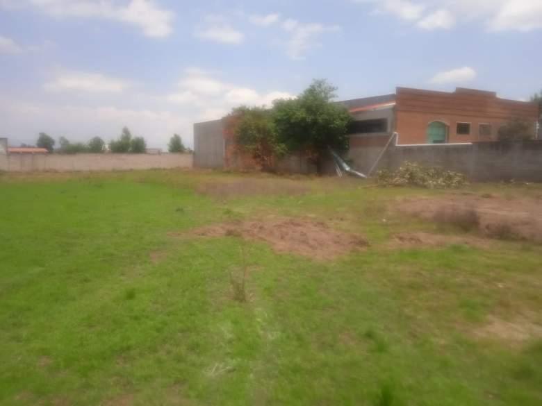 Edo. de México, Toluca