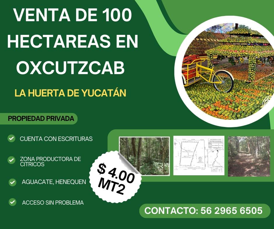 Se vende Rancho en Oxkutzcab