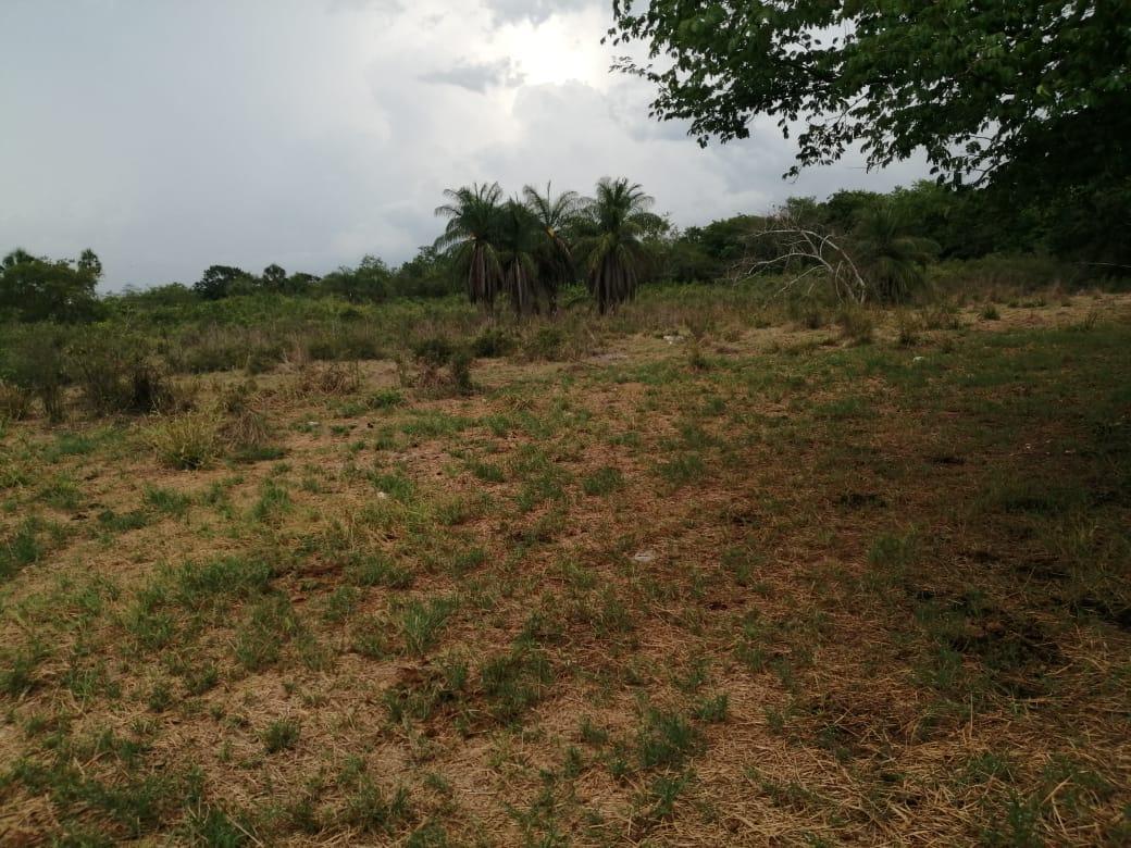 Yucatán, Calotmul