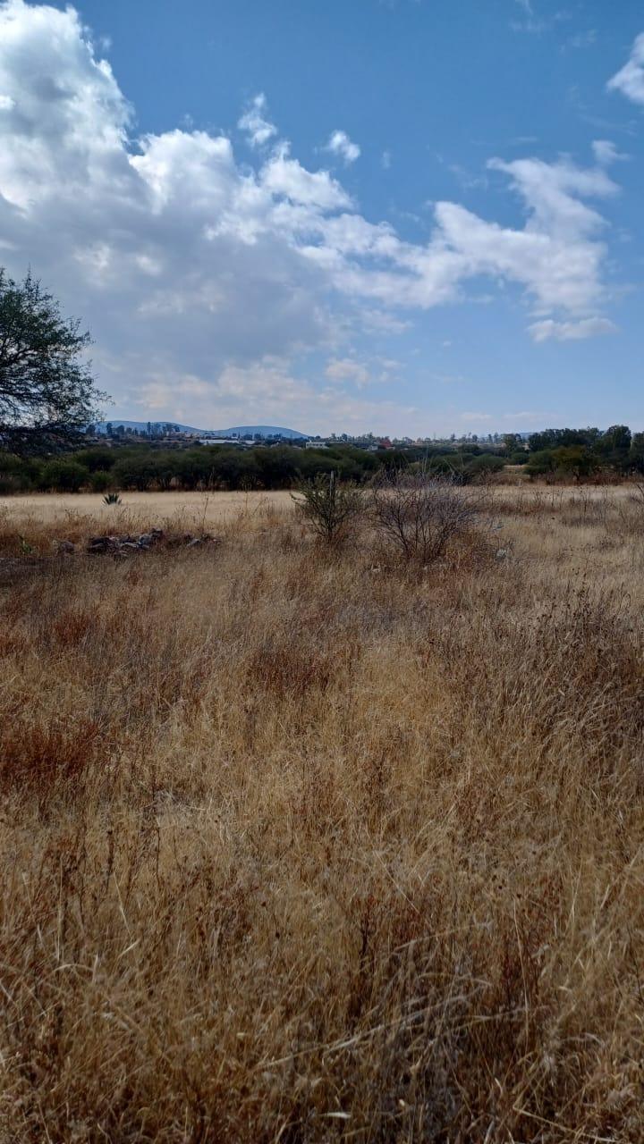 Terreno en venta en el Sauz superficie 1300m2