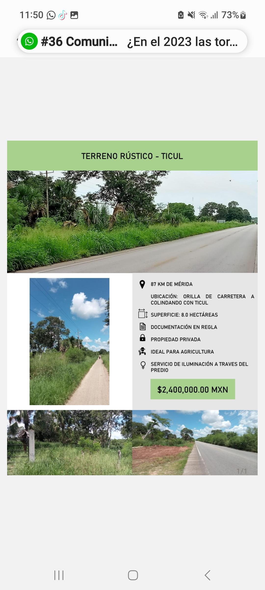 Yucatán, Ticul