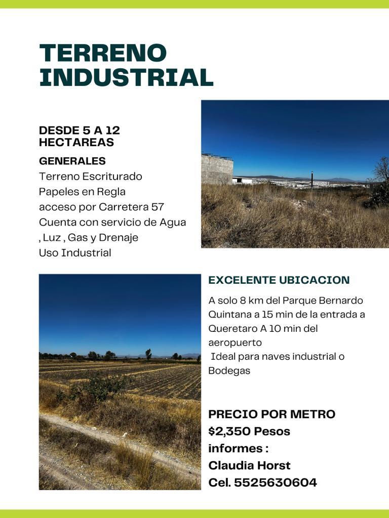 Terreno Industrial 