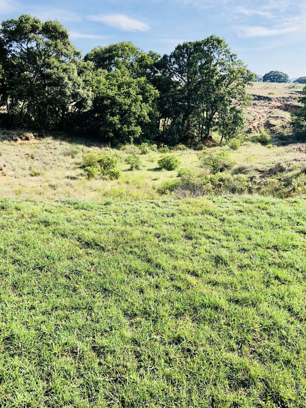 Edo. de México, Nicolás Romero Frente a escuela