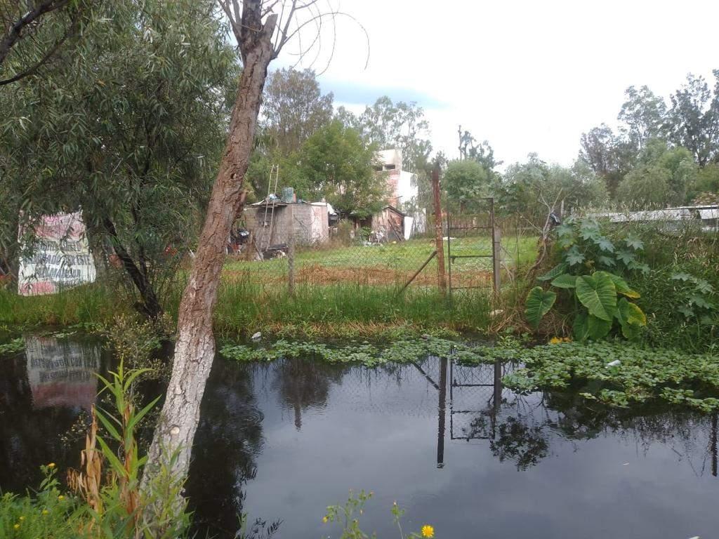 Ciudad de Mexico, Xochimilco