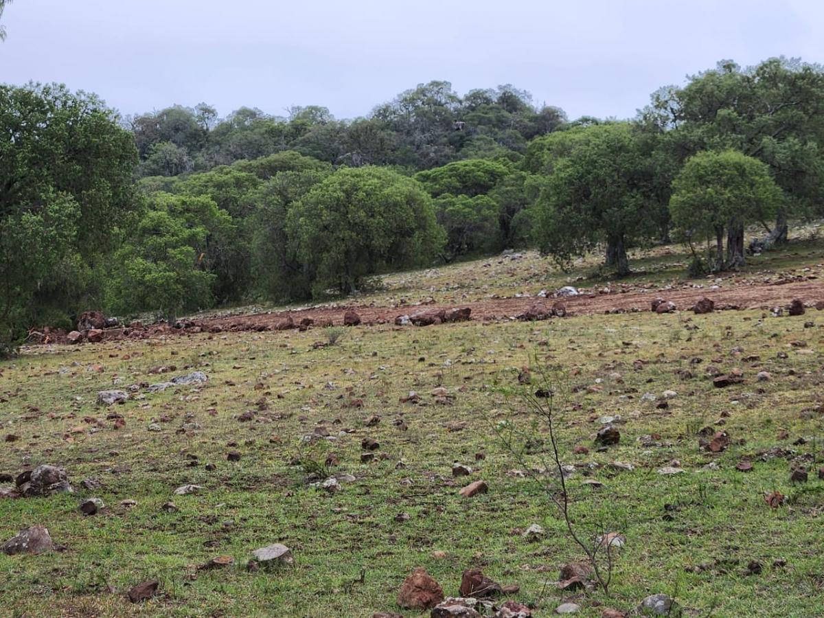 Terreno en Pueblo Mágico Huasca de Ocampo 