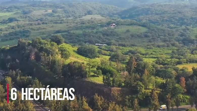 Jalisco, Tonila