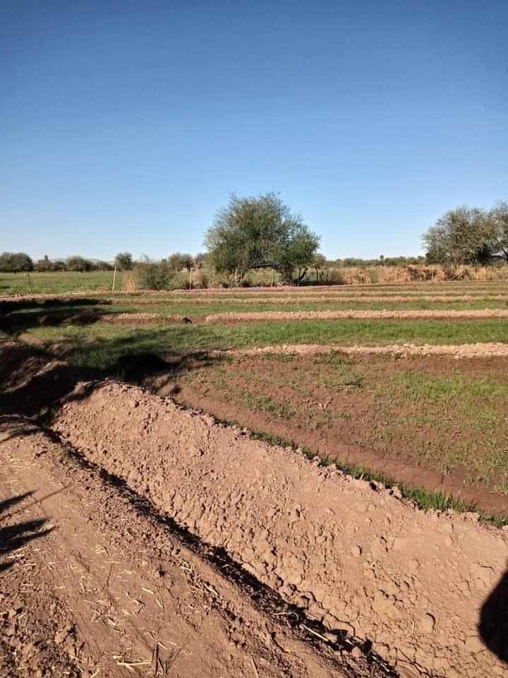 Sonora, Hermosillo