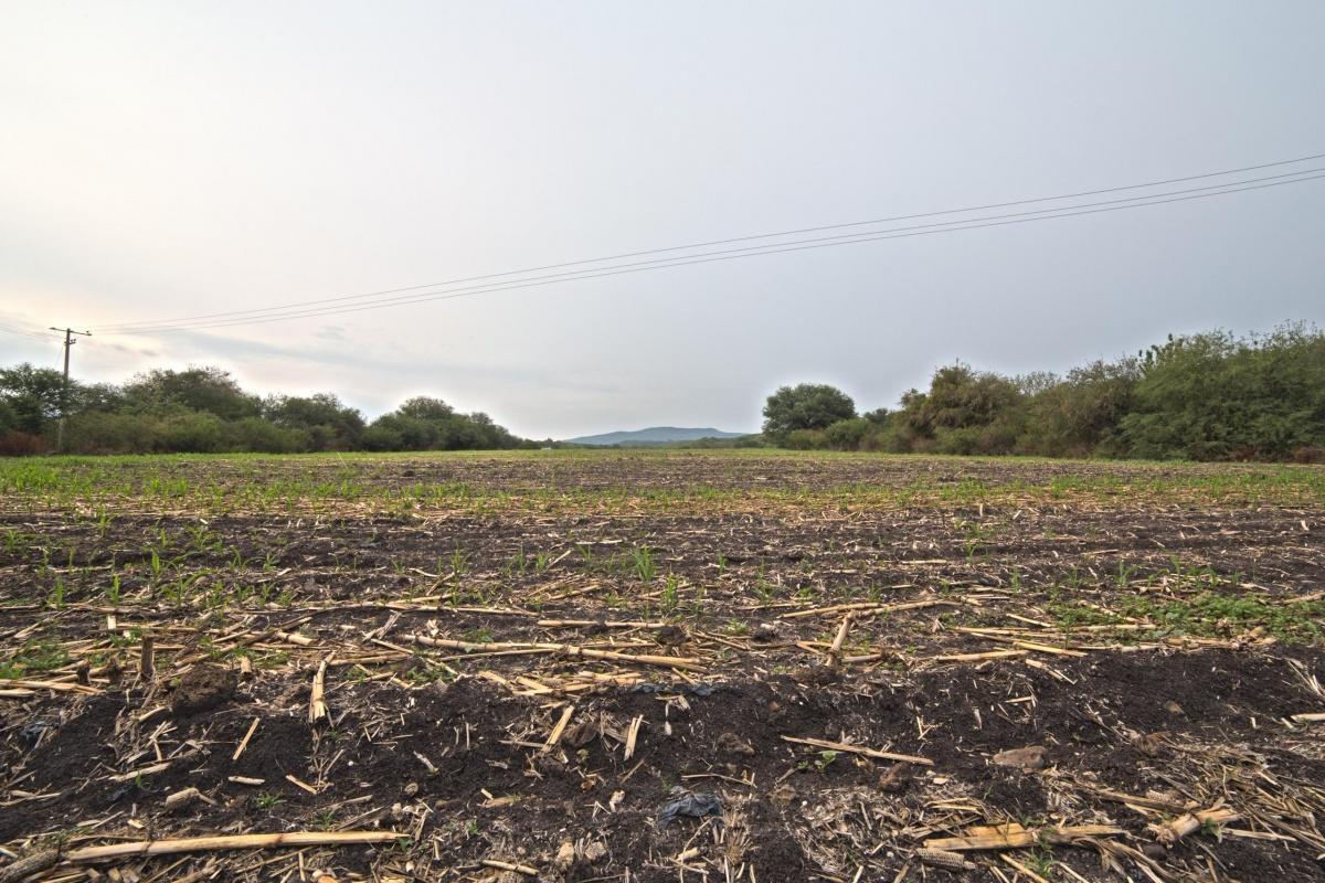 venta terreno rustico con vocacion Agrícola en Salvatierra