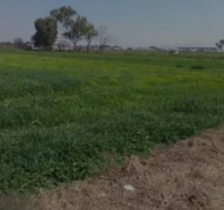 Edo. de México, Tultepec