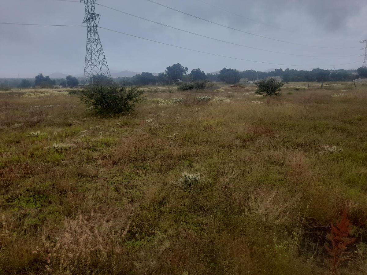 Se vende Lote en Tecámac