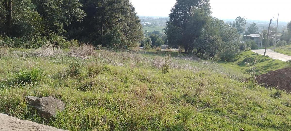Vendo Terreno en La Agrícola Analco, Lerma