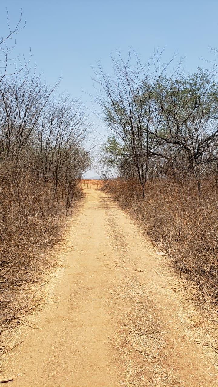 198 Hectáreas venta Culiacán
