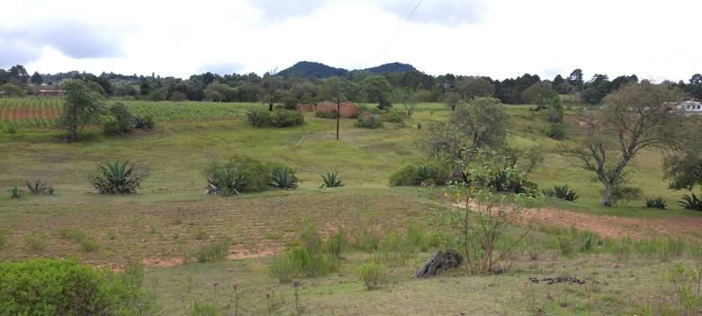 Terrenos en Atexca Zacatlán Puebla de 17500 m2 para cabañas