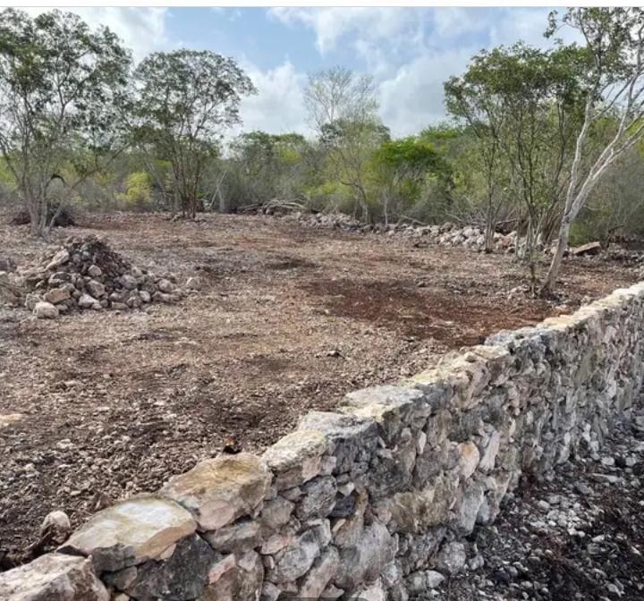 se vende Terreno en Dzidzantún