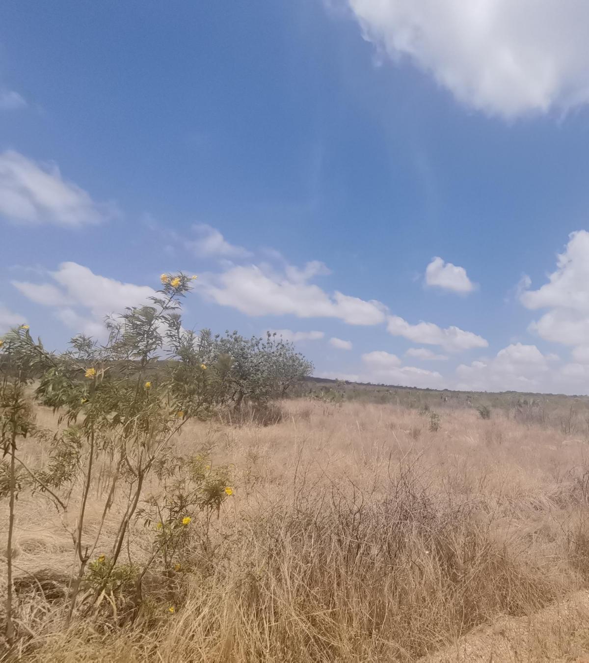 Se vende Terreno en Chila de las flores
