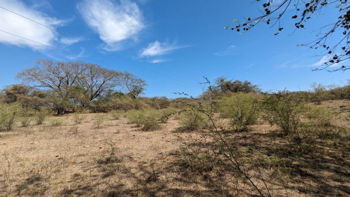 Se vende Parcela en Comala Colima