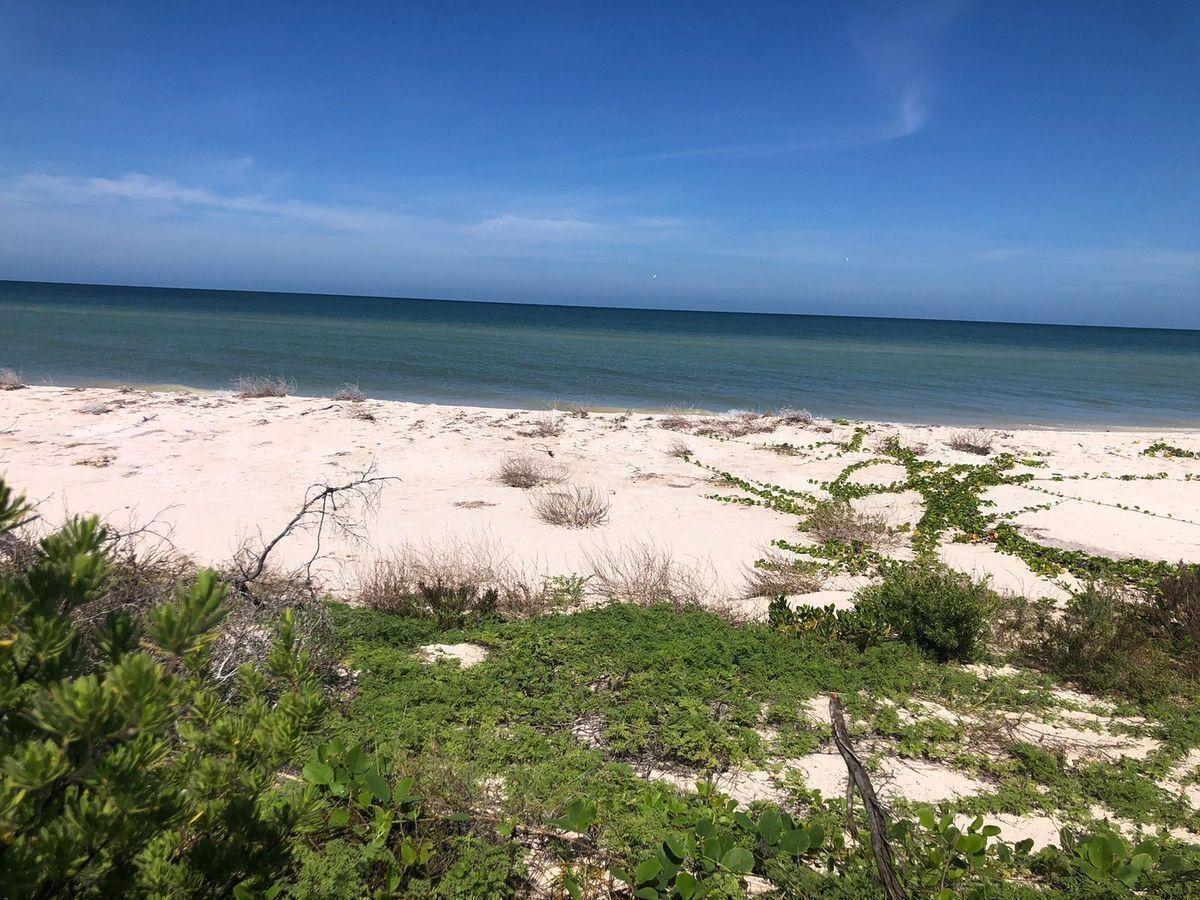 Se Vende Terreno con 20 mts lineales frente al mar en Sisal.