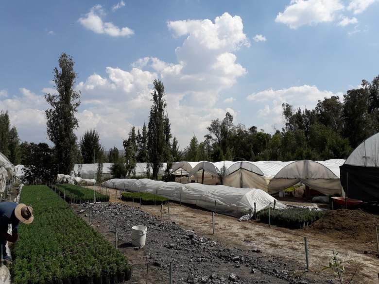 Ciudad de Mexico, Xochimilco