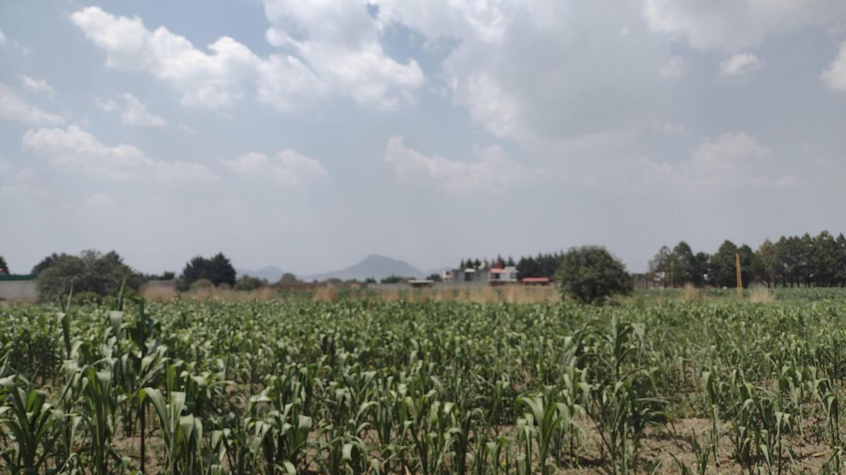  Terreno en Venta en Cacalomacán