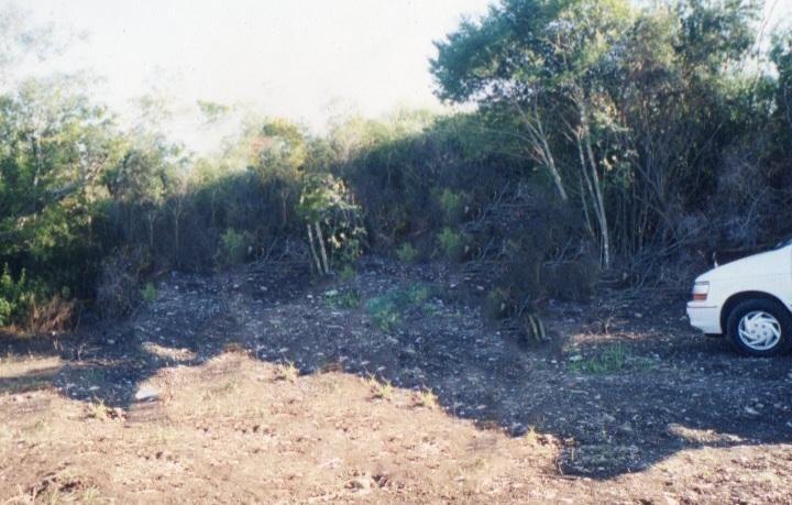 Se vende Terreno en Montemorelos