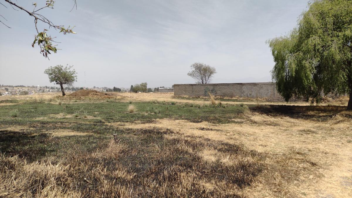 Bonito terreno en venta por Bonanza