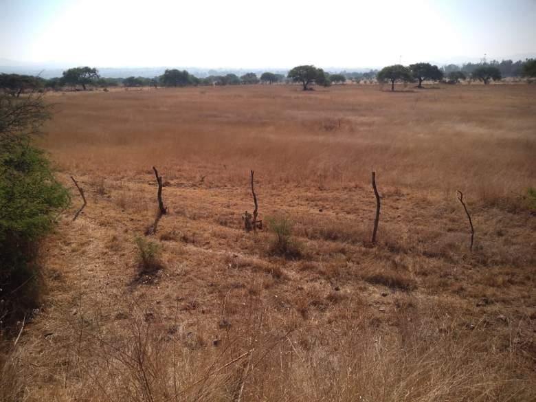 Terreno 7.5 Hectáreas, Tequisquiapan, Querétaro. 