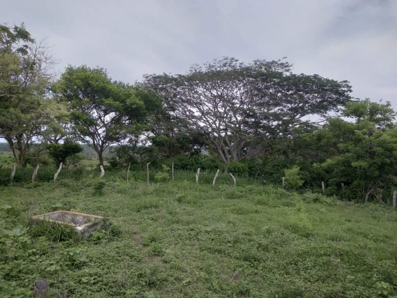 Terreno en venta 3ha, en la Loc. de San Julián, Ver. Ver.