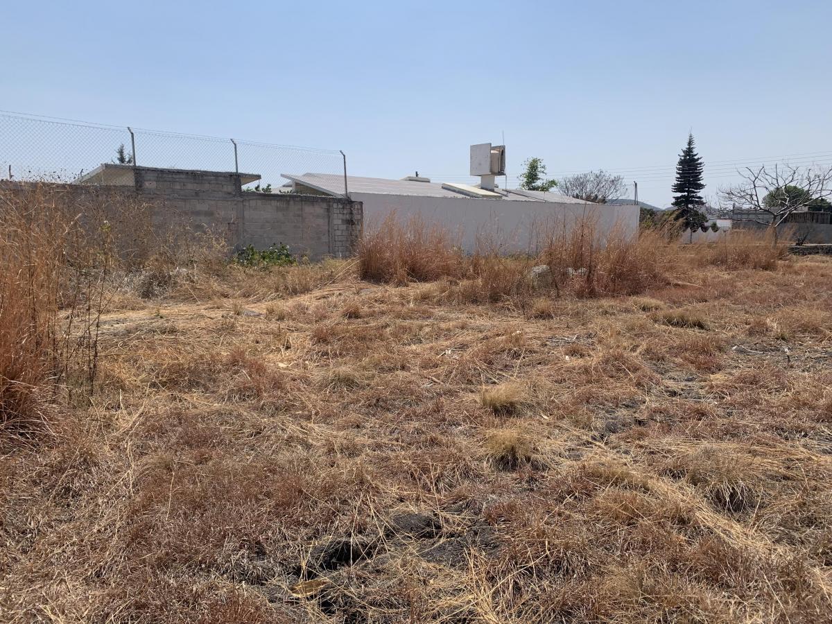 Se vende Lote en Ayala, paraíso Tlahuica 