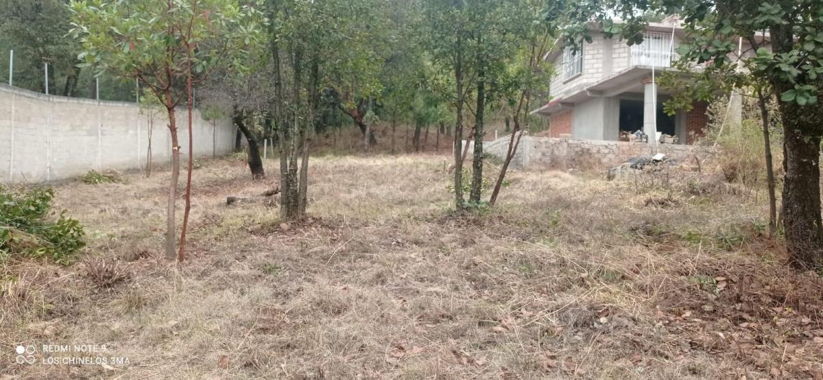 Se vende Terreno Arbolado en Huitzilac