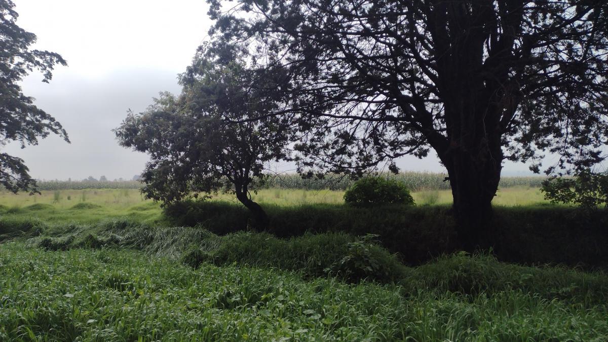 Se vende Terreno en Toluca
