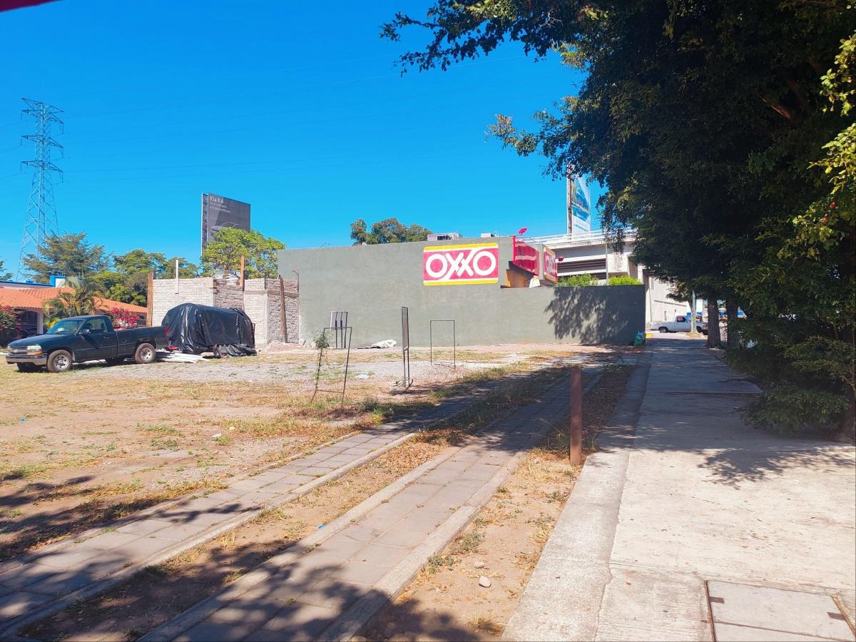 ¡Se Renta Lote Sobre Av. Constitución en Colima!