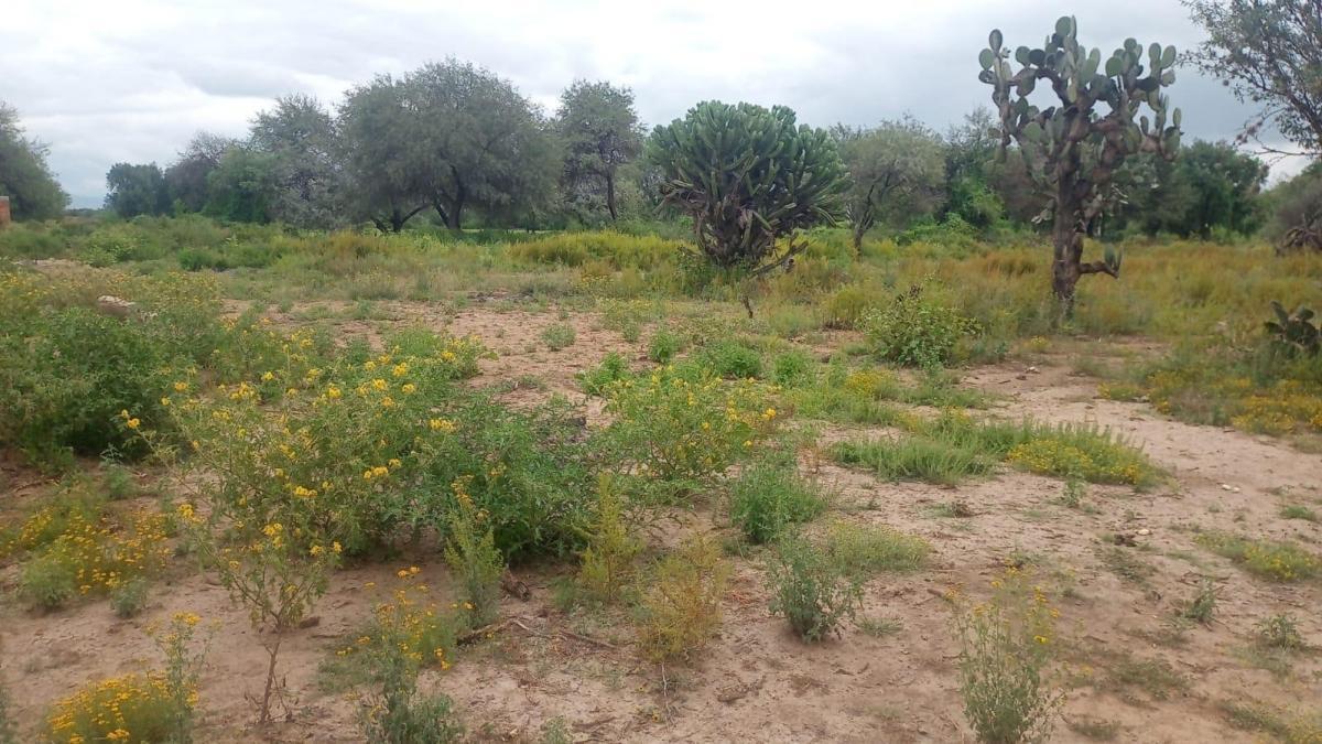 Se vende Terreno en Mexquitic de Carmona