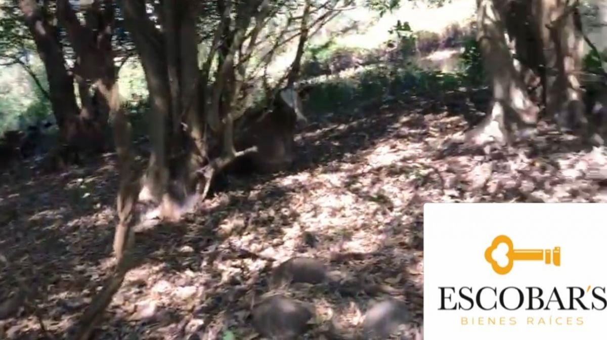 Se vende Agrícola en Soledad de Doblado