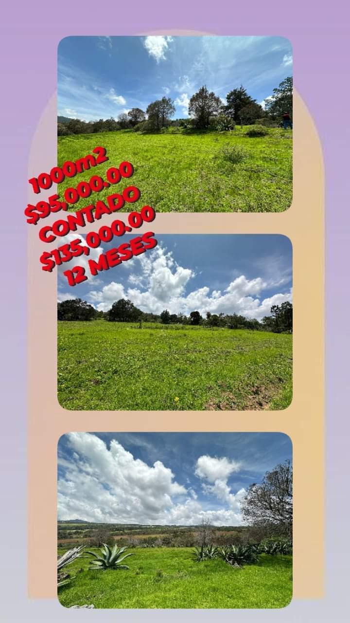 Se venden Terrenos en Zacatlán