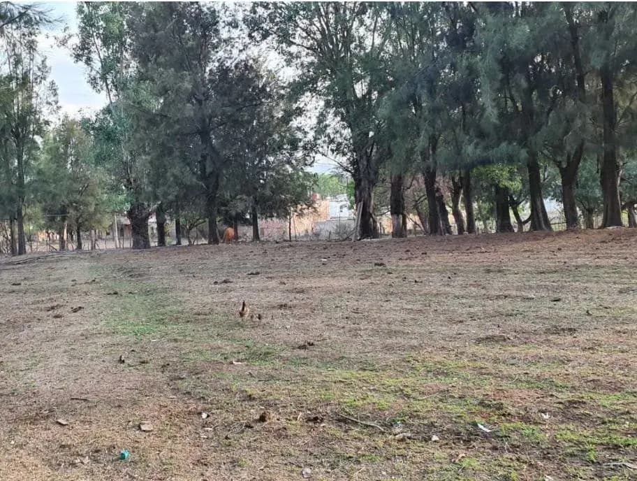 Calle Pradera de Tesistán, 45200 Tesistán, Jalisco, México