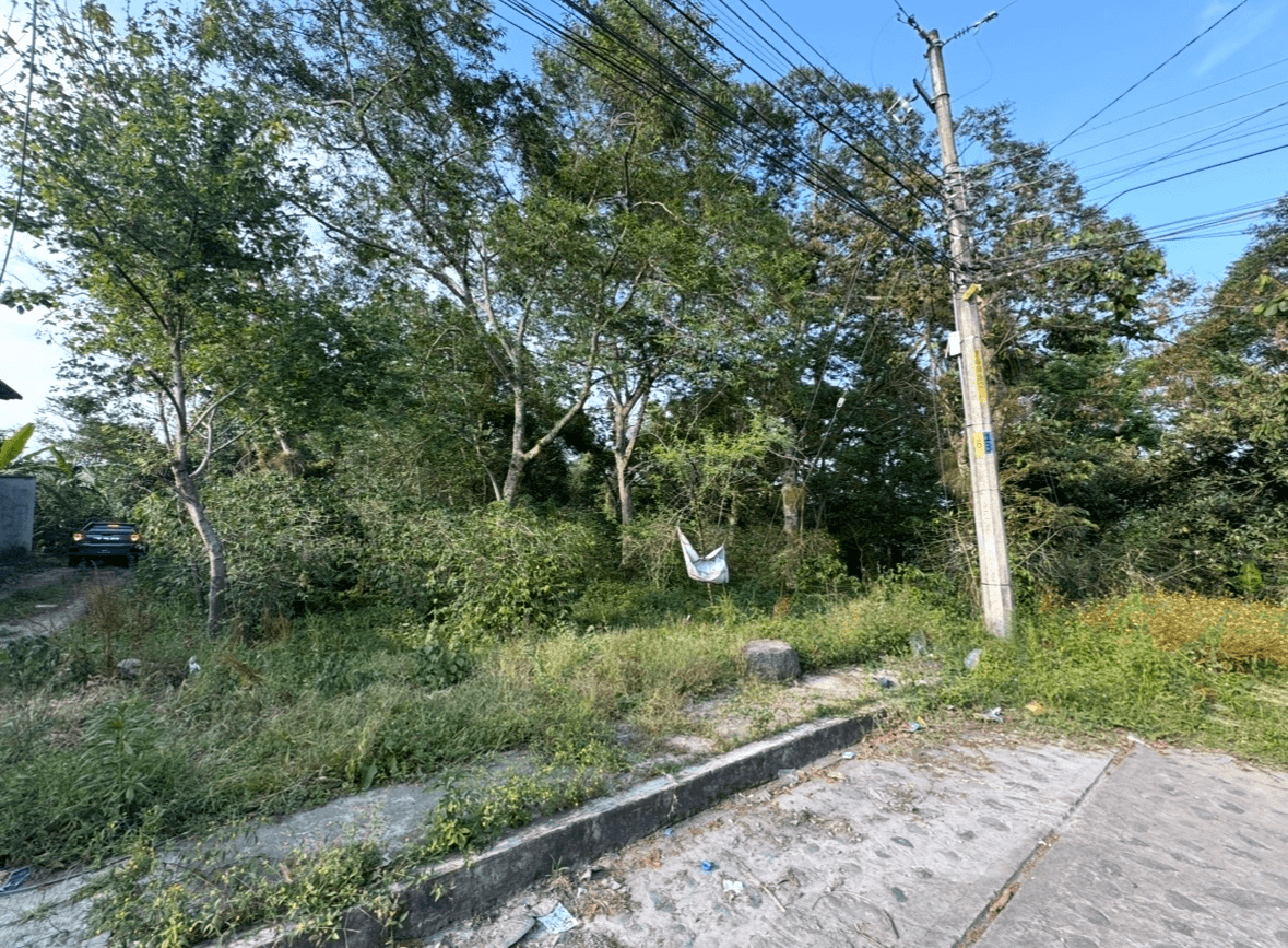 Calle Tolintla, 91240 Xico, Estado de Veracruz, México