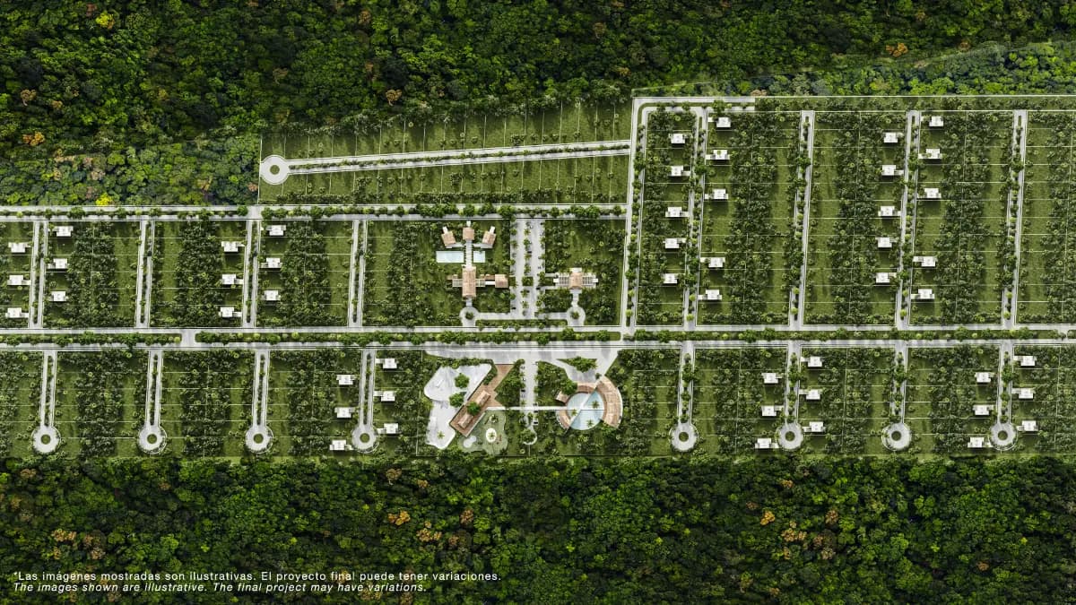 Playa del Carmen, Quintana Roo, México