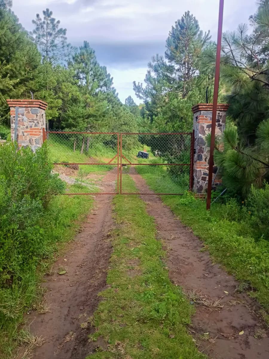 Juanacatlán, Jalisco, 49360, México