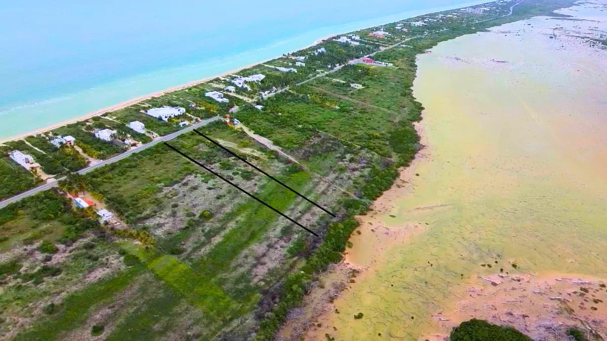 Chicxulub Pueblo, Yucatán, México
