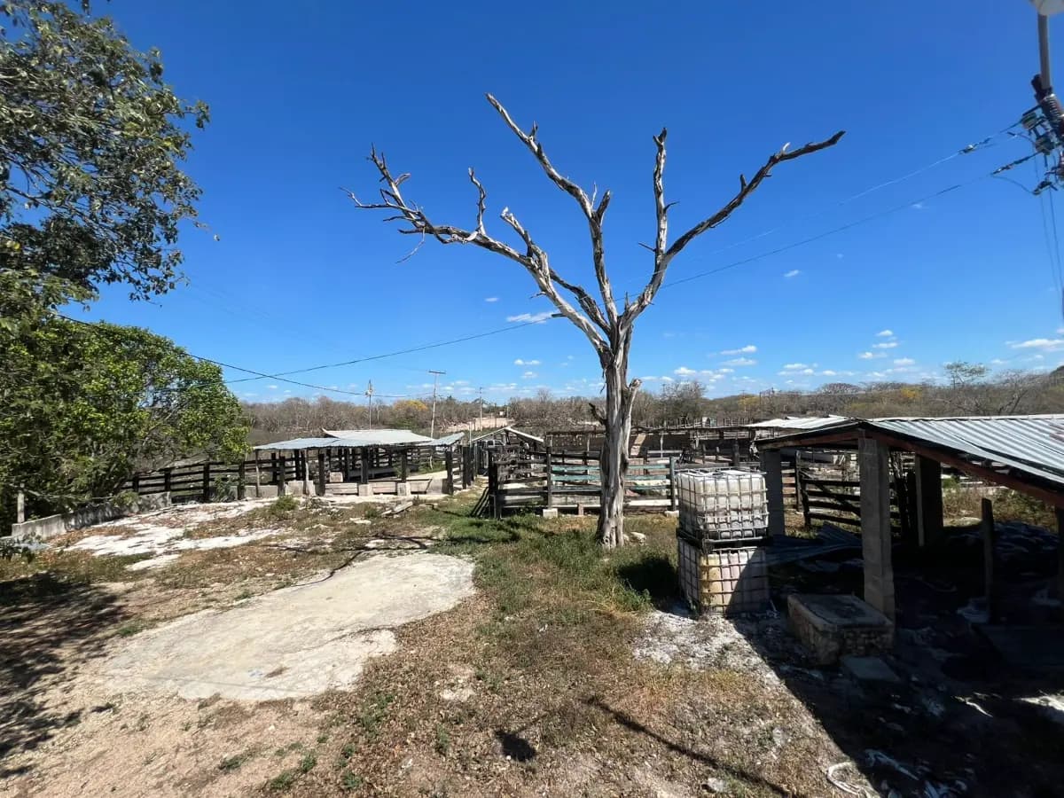 Umán, Yucatán, México