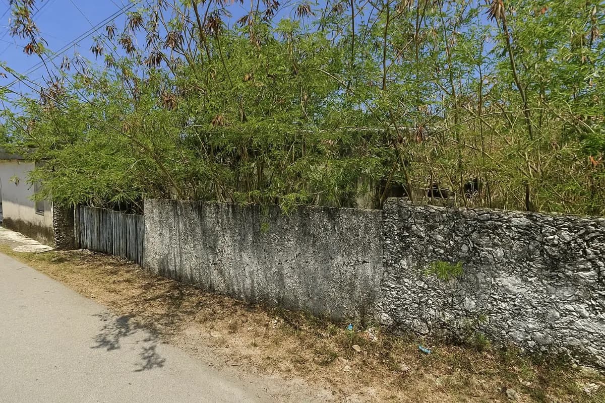 Calle 24 97, 97377 Timucuy, Yucatán, México