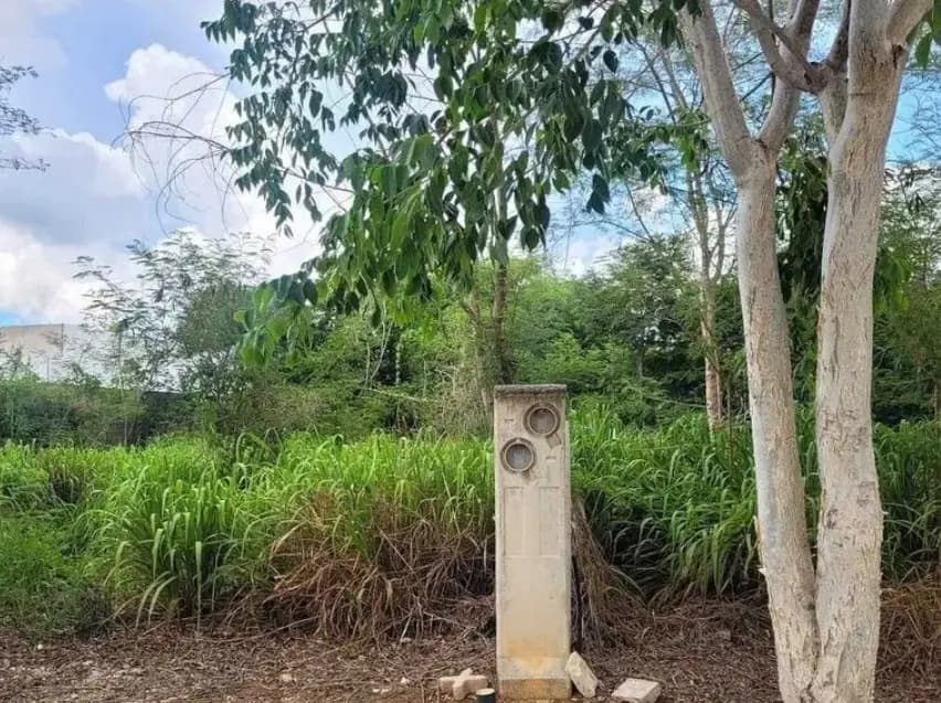 C. 21 x 16a y 16b, 97256 Mérida, México