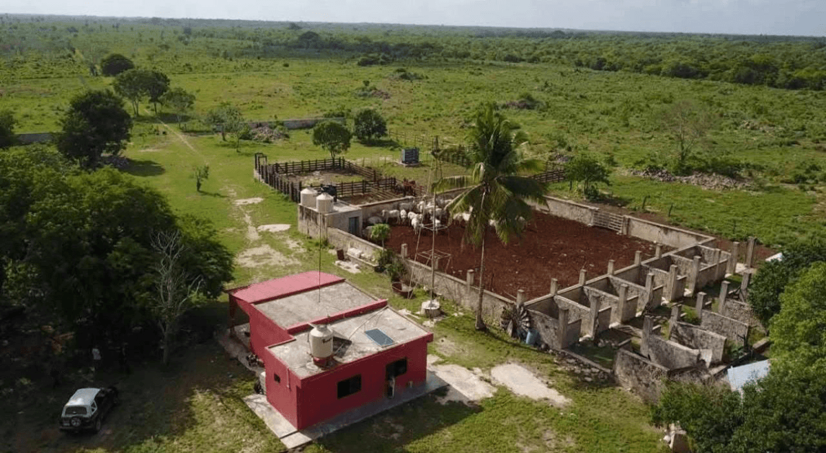 Tizimín, Yucatán, México