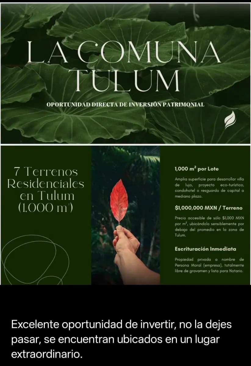 Jacinto Pat, 77774, Tulum, Quintana Roo, México
