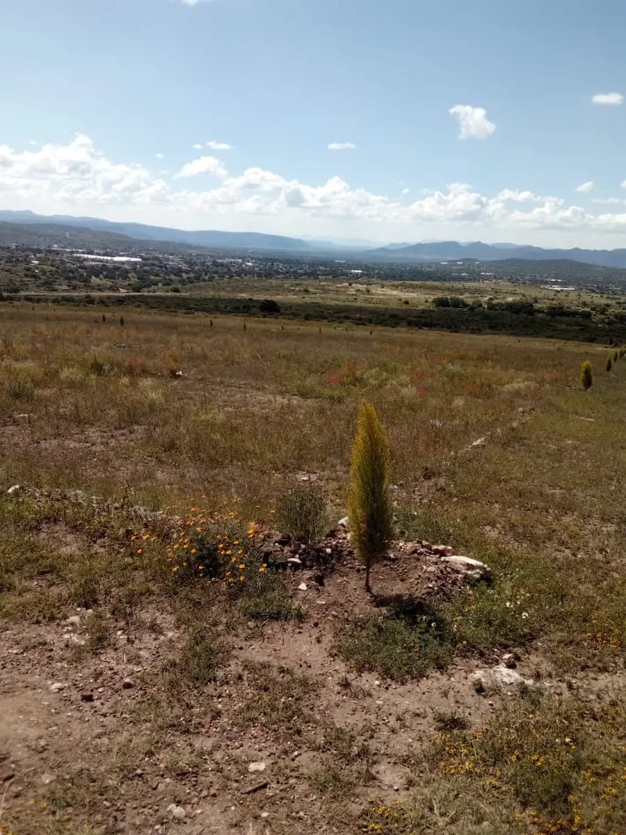 Santiago Tlapacoya, Hidalgo, México