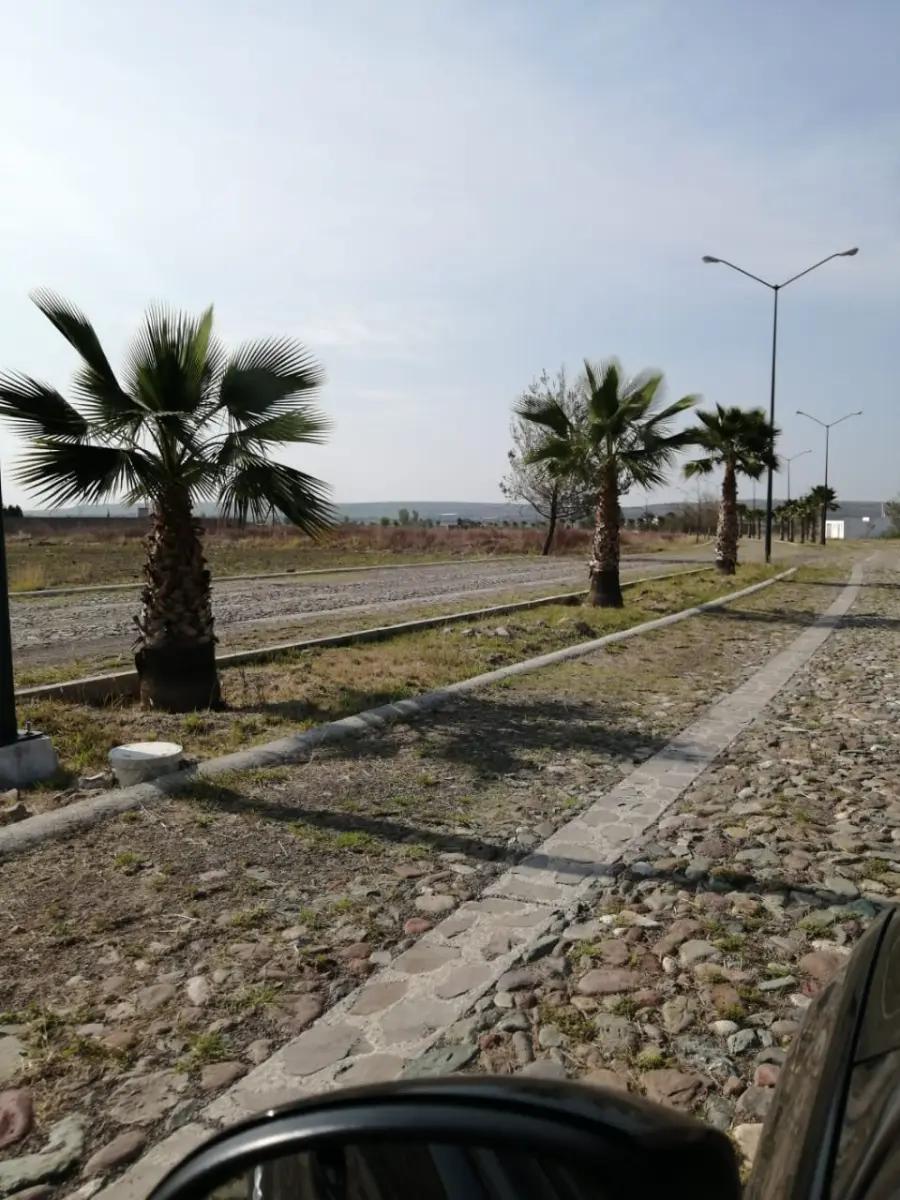 Remato terreno campestre